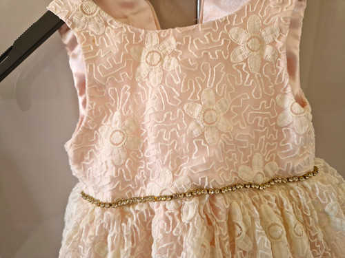 Cinderella pink floral - cinderella, lace