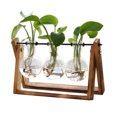 XXXFLOWER Plant Terrarium with