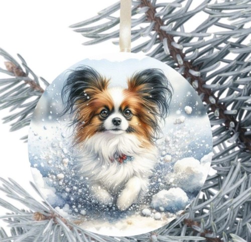 Papillon dog hanging - papillon,