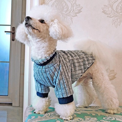 Knit pet dog jumper - knit,