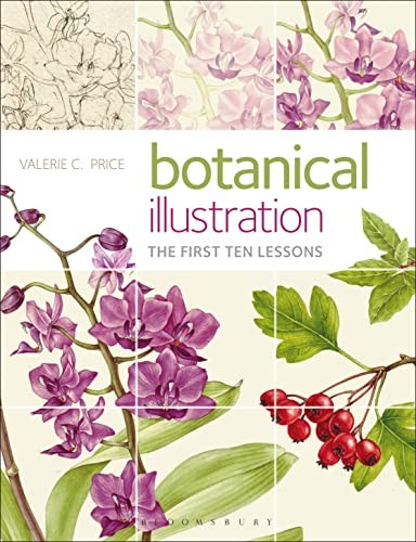 Botanical illustration the - illustration:,
