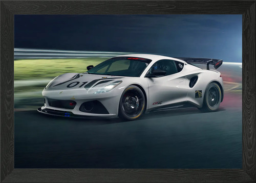 Lotus emira framed wall - emira,