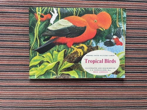 1961 tropical birds - tropical,