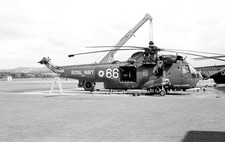814 Sqn, Sea King HAS.2A, XV666 '266B' at Culdrose, 22 Jul 81 - Original B&W neg