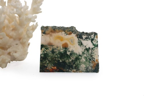 Green moss agate - moss,