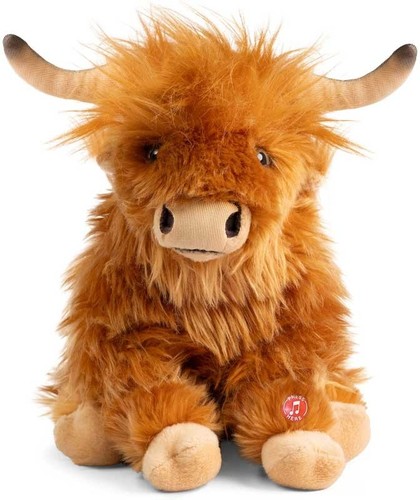 Living nature highland cow - living,