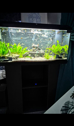 Rectangular glass fish tank - glass,