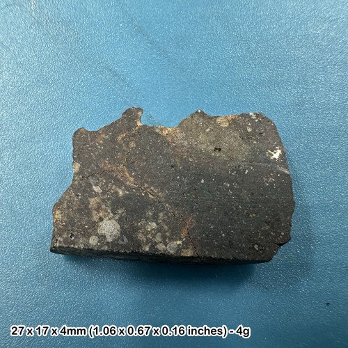 Nwa 869 meteorite slice - slice,