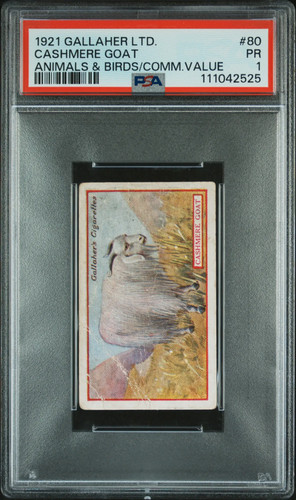 Goat 1921 gallaher animals - animals, &