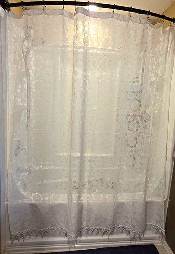 White sheer textured floral - textured,
