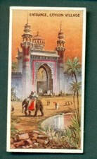 SALMON & GLUCKSTEIN - THE