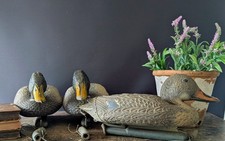 3 Mallard decoy ducks with
