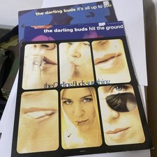 THE DARLING BUDS  12”