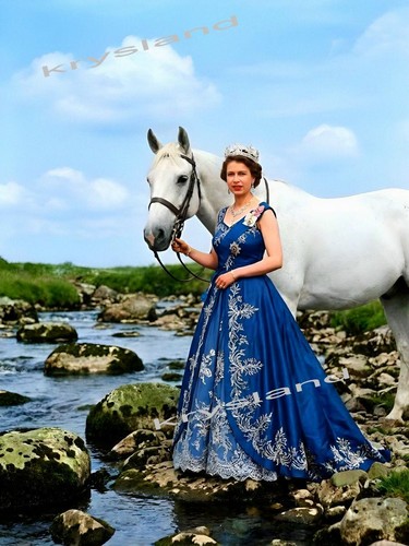 Queen elizabeth portrait - ,