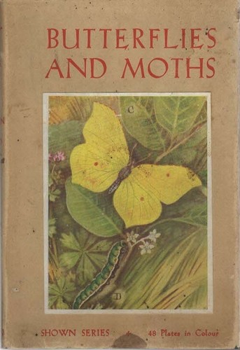 Butterflies and moths - -, shown