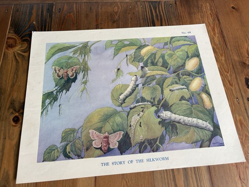 Vintage 50s macmillan ernest - 50s,