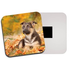 Alsatian Dog Fridge Magnet -