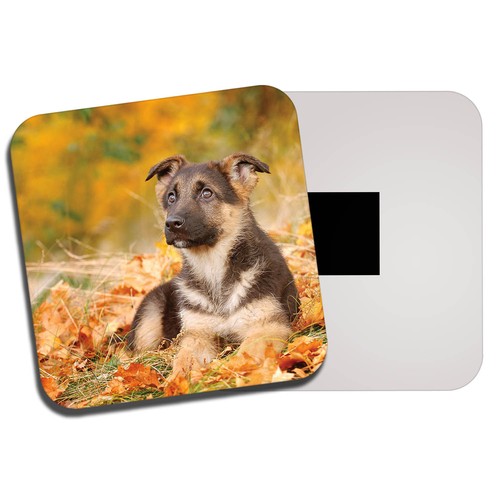 Alsatian dog fridge magnet - fridge,