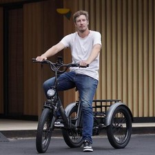 FAFREES F20 MATE 20in Electric