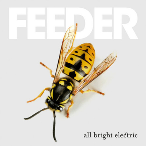 Feeder all bright electric - all,