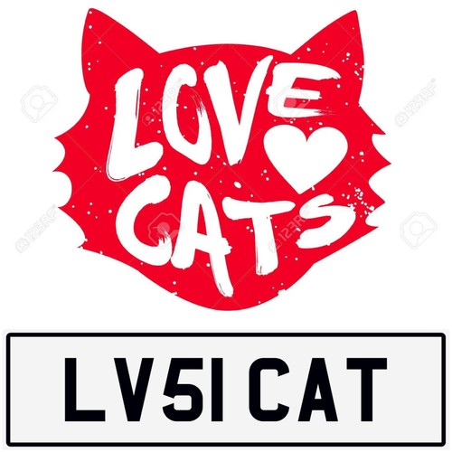 Loves cat love cats - ❤, kitty