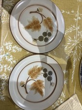 2 Denby Cotswold Plates 20cm