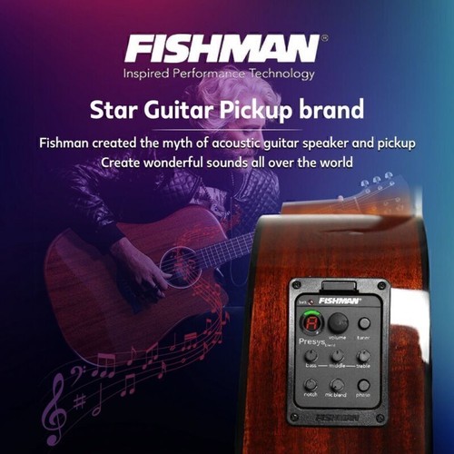 Fishman band 301 tuner - band,