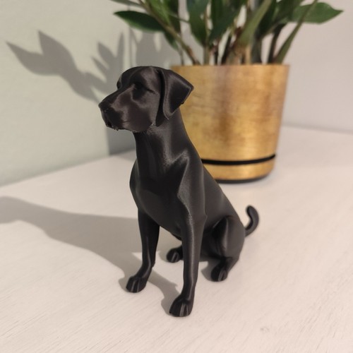 The labrador sculpture - the,