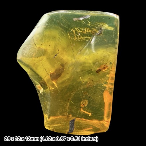 Rare mexican amber - amber, with