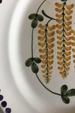 Aluminia Guldregn(Laburnum)