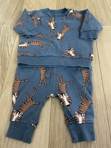 Boys next piece - boys,