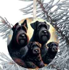 Giant Schnauzer Dog Hanging
