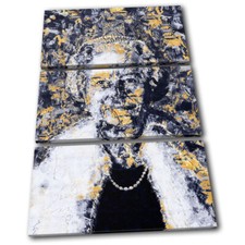 Queen Elizabeth Paint Grunge