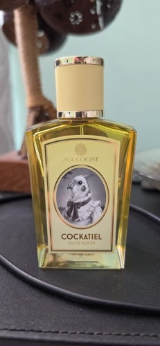Zoologist cockatiel special - cockatiel,