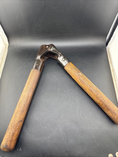 Vintage bull calf dehorner - calf,