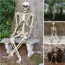 Large 165cm Life Size Skeleton