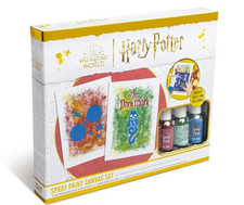 Harry Potter Spray Paint