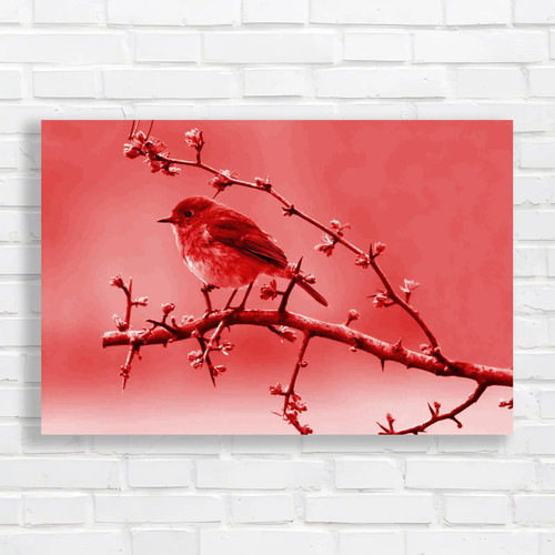 Robins spring hawthorn - in,
