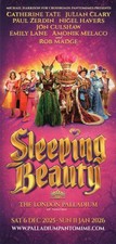 SLEEPING BEAUTY - Theatre