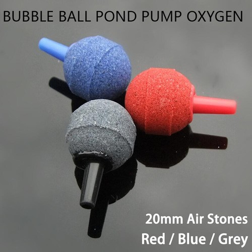Small round aquarium - small,
