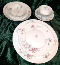 Theodore Haviland Limoges France Floral Pink Blue Place Setting 6 PC