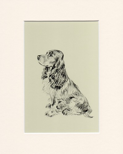 Cocker spaniel vintage - cocker,