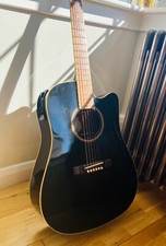 WASHBURN D 10 SCEB - acoustic