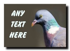 Pigeon Bird Personalised Jumbo