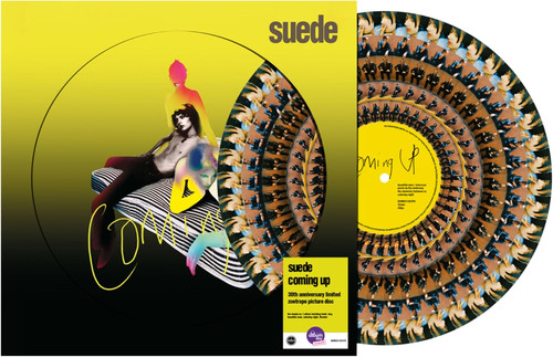 Suede coming up - -,