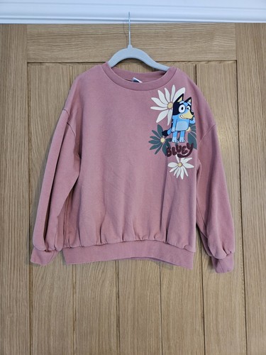 Bluey girls sweatshirt - girls,