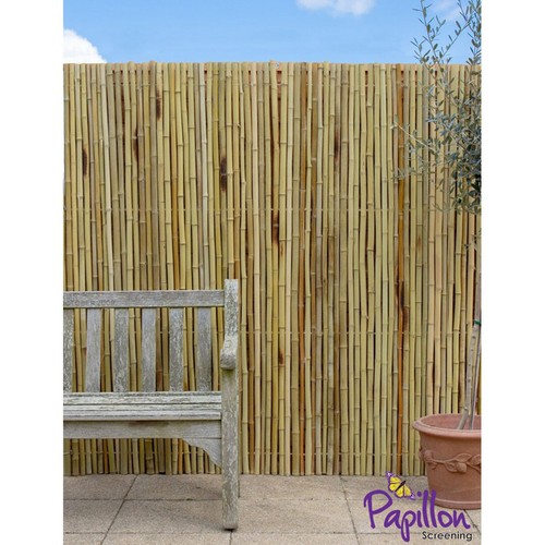 Papillon thick white bamboo - papillon,