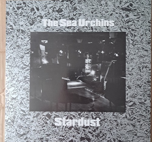The sea urchins stardust - urchins, 12"