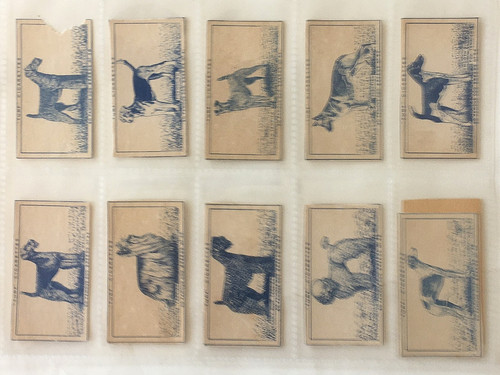 Carreras turf cigarette cards - turf,