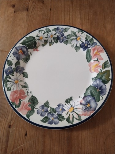 Staffordshire tableware - staffordshire,